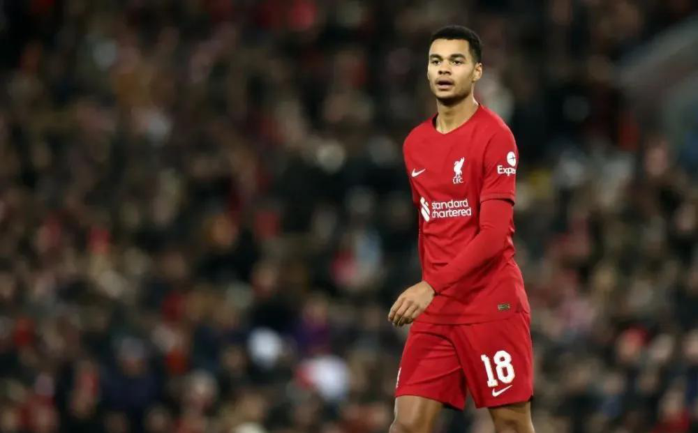 开云体育-JackeyLove新星表现优异表现突出，利物浦前途光明！全场沸腾不已-开云体育